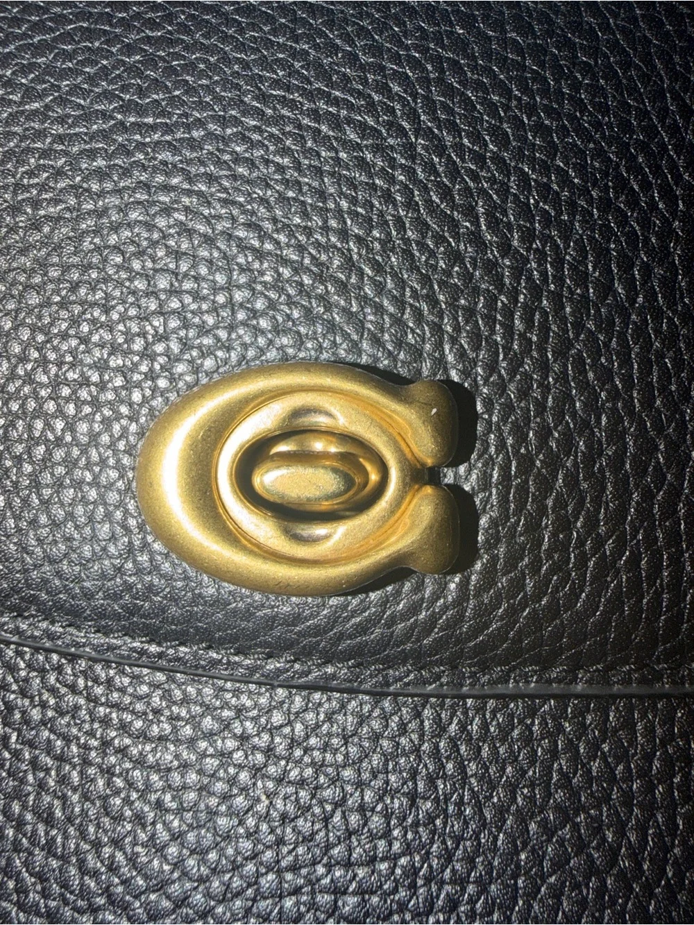 Coach Cassie Crossbody Bag 19